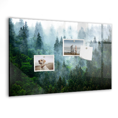 Magnetisch wandbord Mistig bos