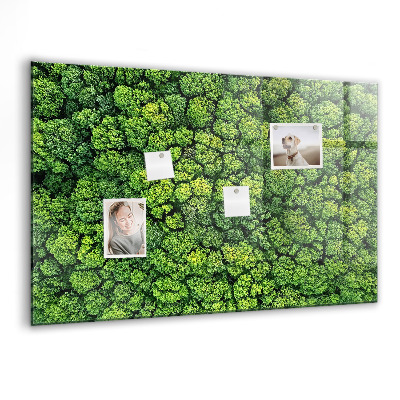 Magnet board Bos vanuit vogelperspectief