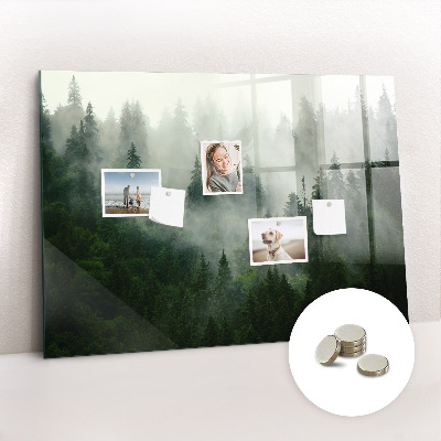 Memobord keuken Mistig bos