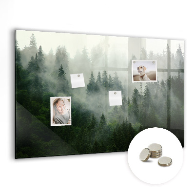 Memobord keuken Mistig bos