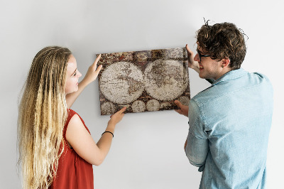 Magnetisch wandbord Oude wereldkaart