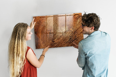 Beschrijfbaar magneetbord van glas met design Oude boomstam