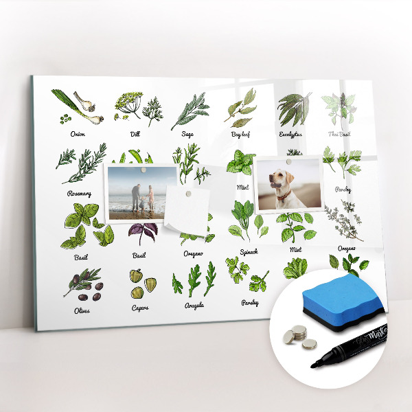 Uitwisbaar glazen planbord met magnetische functie Soorten bomen