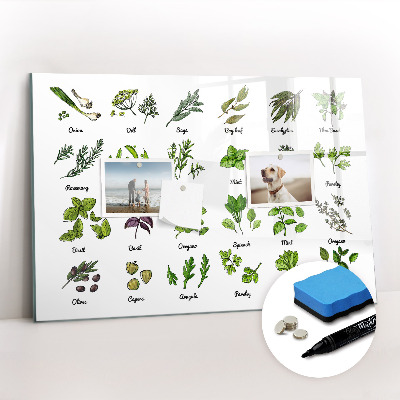 Uitwisbaar glazen planbord met magnetische functie Soorten bomen