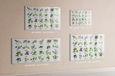 Uitwisbaar glazen planbord met magnetische functie Soorten bomen