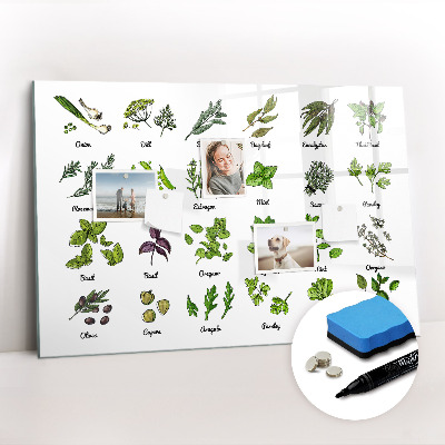 Uitwisbaar glazen planbord met magnetische functie Soorten bomen