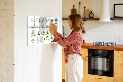 Uitwisbaar glazen planbord met magnetische functie Soorten bomen