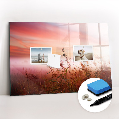 Magnetisch planbord voor de muur van bedrukt glas Mistige ochtend