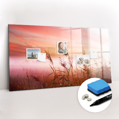 Magnetisch planbord voor de muur van bedrukt glas Mistige ochtend