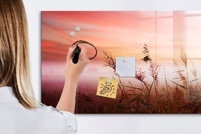 Magnetisch planbord voor de muur van bedrukt glas Mistige ochtend
