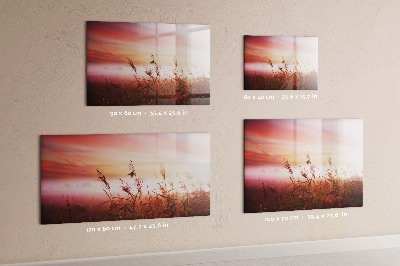 Magnetisch planbord voor de muur van bedrukt glas Mistige ochtend