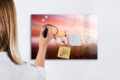 Magnetisch planbord voor de muur van bedrukt glas Mistige ochtend