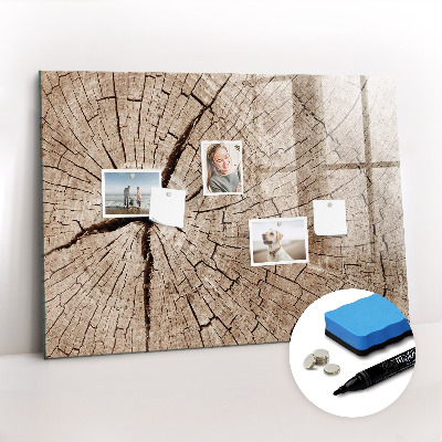 Magnetisch planbord voor de muur van bedrukt glas Oude houtstronk