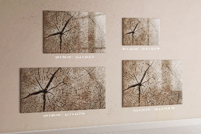Magnetisch planbord voor de muur van bedrukt glas Oude houtstronk