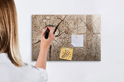 Magnetisch planbord voor de muur van bedrukt glas Oude houtstronk