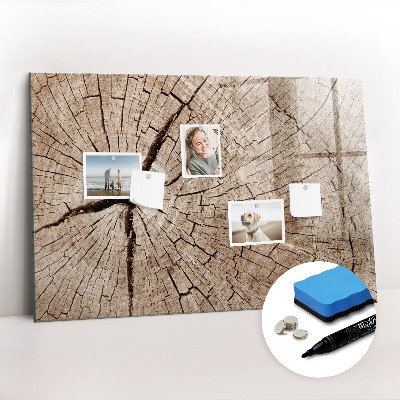 Magnetisch planbord voor de muur van bedrukt glas Oude houtstronk
