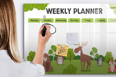 Beschrijfbaar magneetbord van glas met design Lesplan