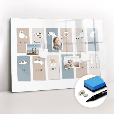Beschrijfbaar magneetbord van glas met design Kattenkalender