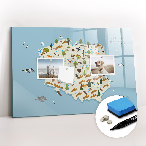 Magnetisch planbord voor de muur van bedrukt glas Poolse dierenkaart