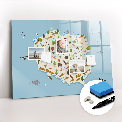 Magnetisch planbord voor de muur van bedrukt glas Poolse dierenkaart
