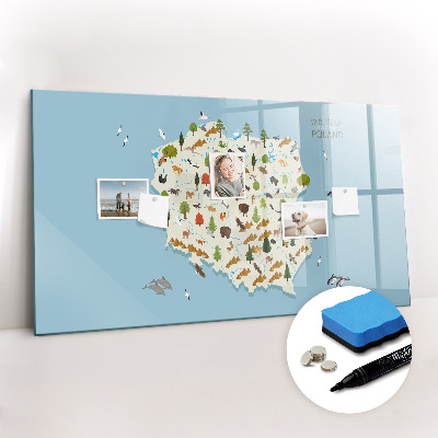Magnetisch planbord voor de muur van bedrukt glas Poolse dierenkaart