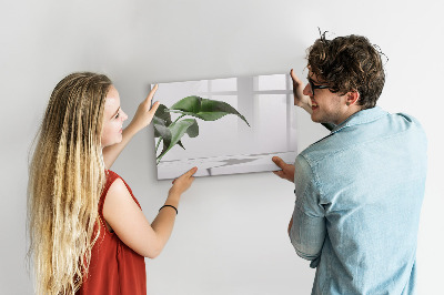 Uitwisbaar glazen planbord met magnetische functie Abstracte bladeren