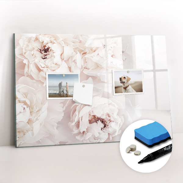 Magnetisch planbord voor de muur van bedrukt glas Pioenrozen