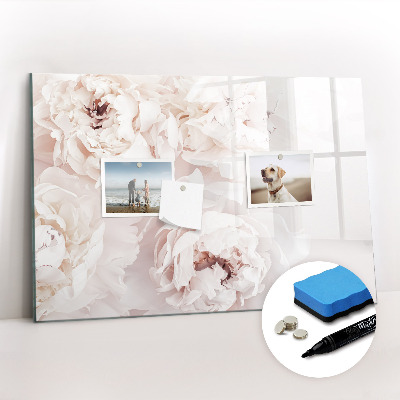 Magnetisch planbord voor de muur van bedrukt glas Pioenrozen