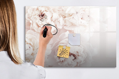Magnetisch planbord voor de muur van bedrukt glas Pioenrozen