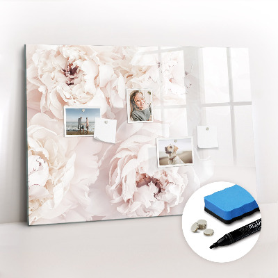 Magnetisch planbord voor de muur van bedrukt glas Pioenrozen