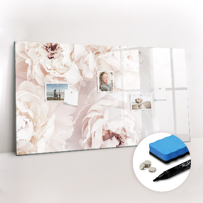 Magnetisch planbord voor de muur van bedrukt glas Pioenrozen