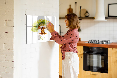 Magnetisch planbord voor de muur van bedrukt glas Stamboom