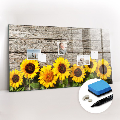 Magnetisch planbord voor de muur van bedrukt glas Zonnebloemen