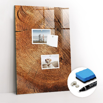 Magnetisch planbord voor de muur van bedrukt glas Dwarsdoorsnede van de stam