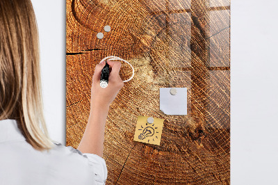 Magnetisch planbord voor de muur van bedrukt glas Dwarsdoorsnede van de stam