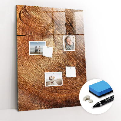 Magnetisch planbord voor de muur van bedrukt glas Dwarsdoorsnede van de stam