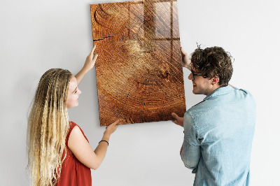 Magnetisch planbord voor de muur van bedrukt glas Dwarsdoorsnede van de stam