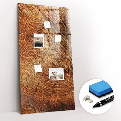 Magnetisch planbord voor de muur van bedrukt glas Dwarsdoorsnede van de stam