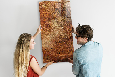 Magnetisch planbord voor de muur van bedrukt glas Dwarsdoorsnede van de stam