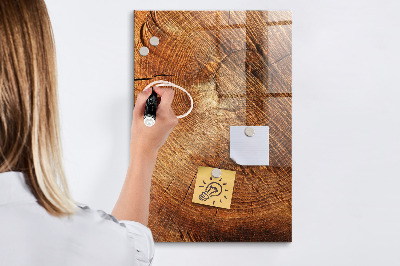 Magnetisch planbord voor de muur van bedrukt glas Dwarsdoorsnede van de stam