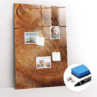 Magnetisch planbord voor de muur van bedrukt glas Dwarsdoorsnede van de stam