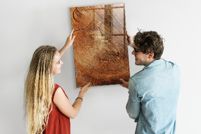 Magnetisch planbord voor de muur van bedrukt glas Dwarsdoorsnede van de stam
