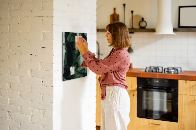 Glazen magneet-memobord voor thuis of op het werk Bladeren van jungleplanten