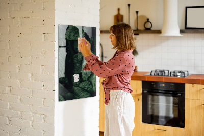 Glazen magneet-memobord voor thuis of op het werk Bladeren van jungleplanten