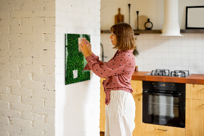 Magnetisch planbord voor de muur van bedrukt glas Bladeren van hekplanten