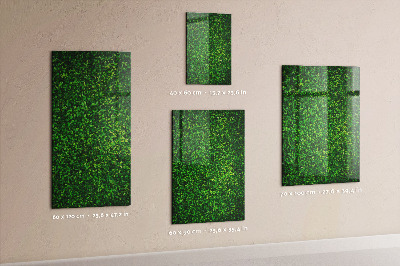 Magnetisch planbord voor de muur van bedrukt glas Bladeren van hekplanten