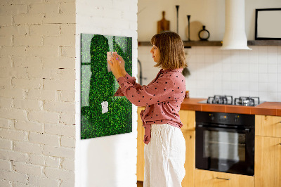 Magnetisch planbord voor de muur van bedrukt glas Bladeren van hekplanten