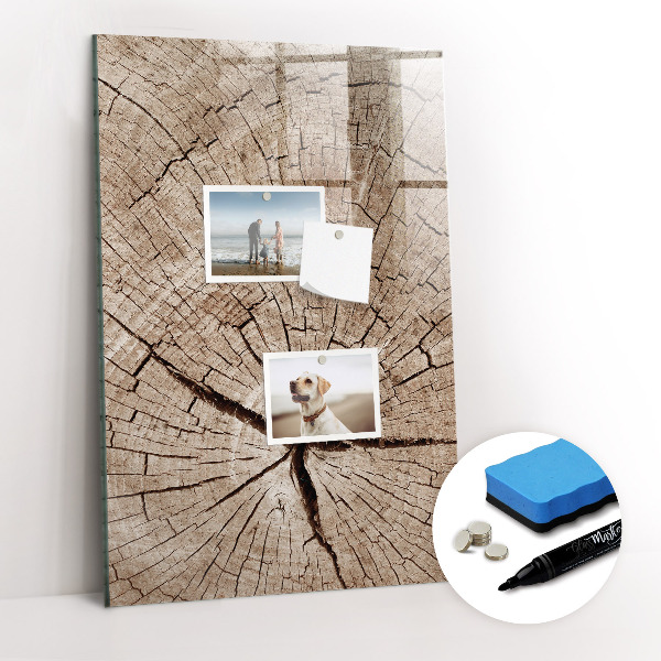 Wandbord van glas magnetisch en uitwisbaar Dwarsdoorsnede van een boom