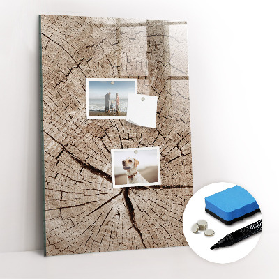 Wandbord van glas magnetisch en uitwisbaar Dwarsdoorsnede van een boom