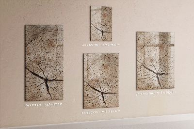 Wandbord van glas magnetisch en uitwisbaar Dwarsdoorsnede van een boom